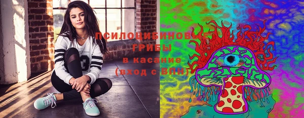стафф Волоколамск
