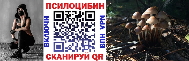 Галлюциногенные грибы GOLDEN TEACHER  Калининград 